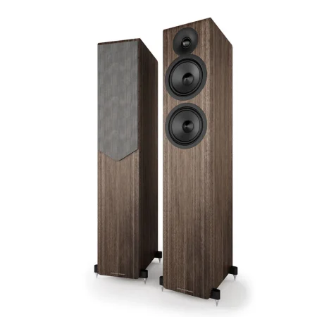 Acoustic Energy - AE309 mk2 - Parlante Columna