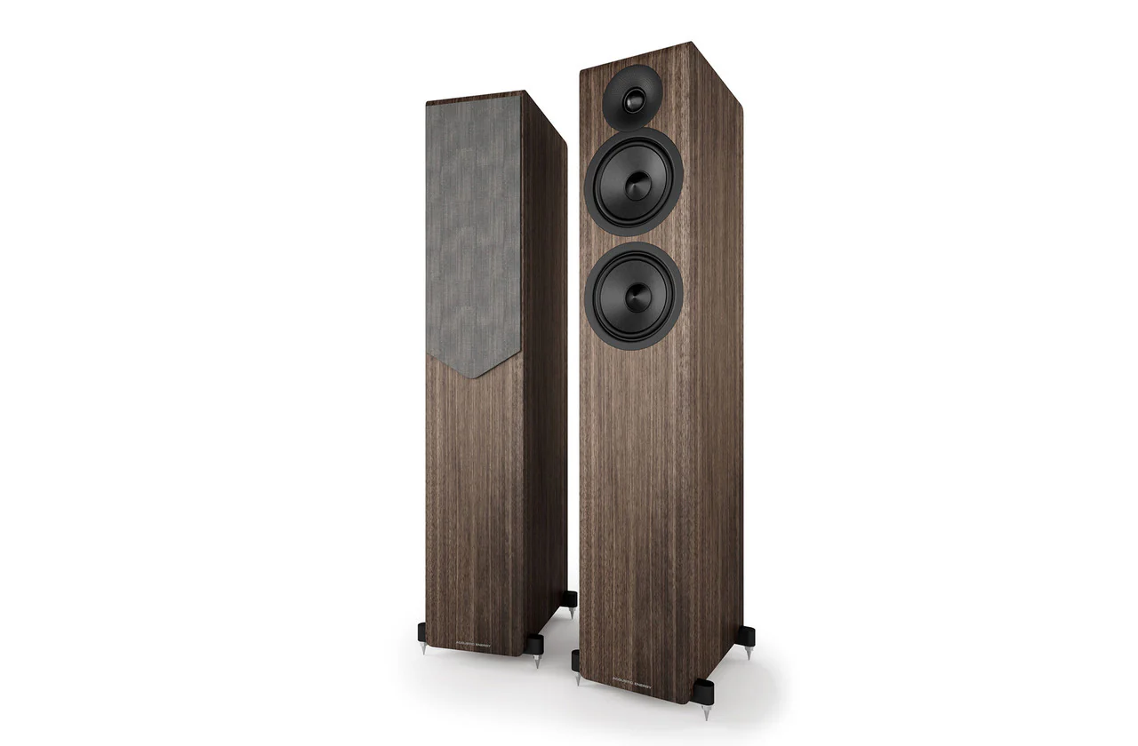 Acoustic Energy - AE309 mk2 - Parlante Columna