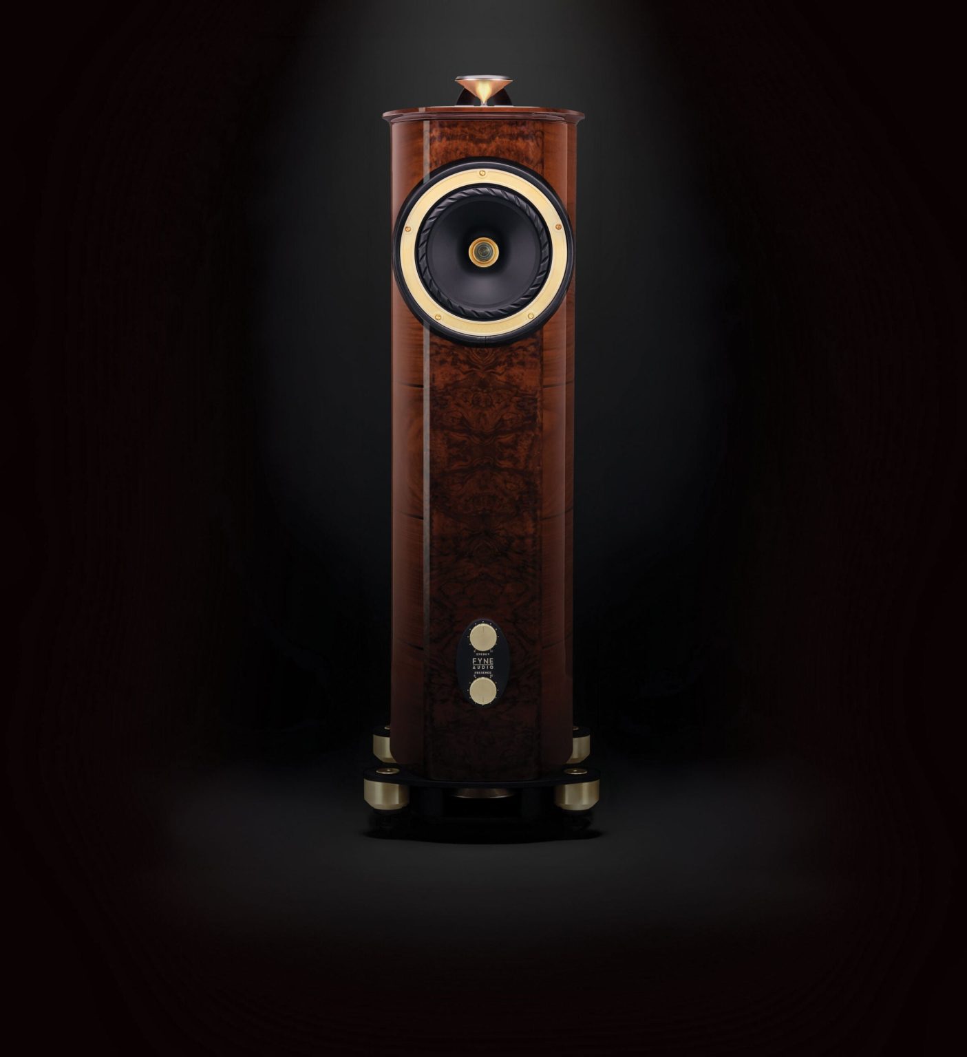 Fyne Audio F1-10 Anniversary iluminado en la oscuridad